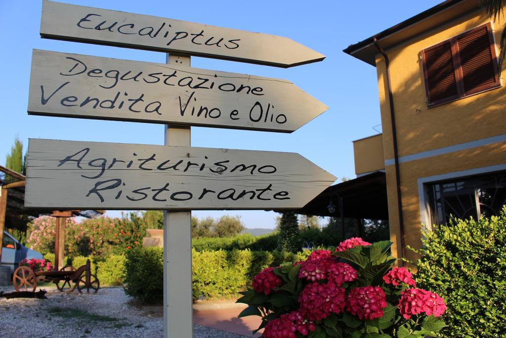 Agriturismo Eucaliptus Больгері Екстер'єр фото